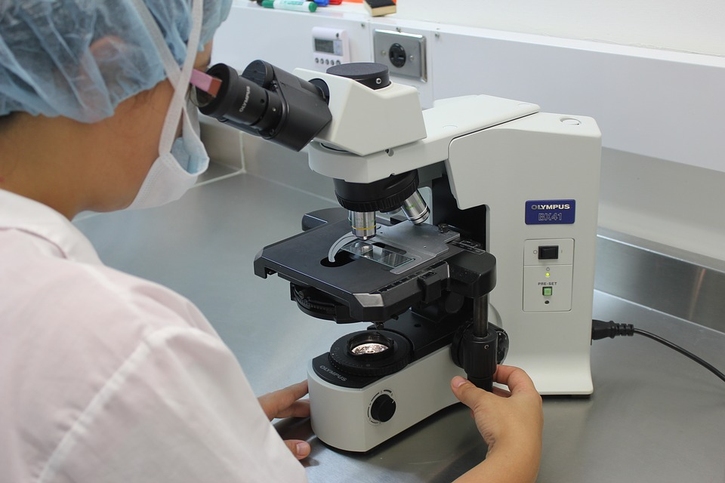 F. nucleatum Increases Proliferation of Colorectal Cancer Cells