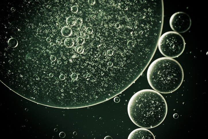 Rapidly cycling Lgr5+ stem cells are exquisitely sensitive to extrinsic dietary factors that modulate colon cancer risk