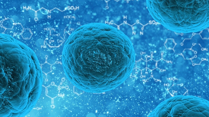 Tissue-specific mutation accumulation in human adult stem cells during life