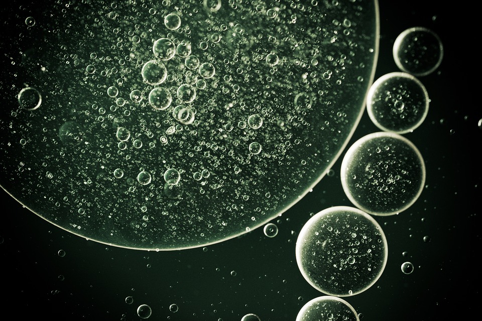 Rapidly cycling Lgr5+ stem cells are exquisitely sensitive to extrinsic dietary factors that modulate colon cancer risk