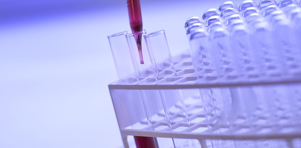 TNIK inhibition abrogates colorectal cancer stemness